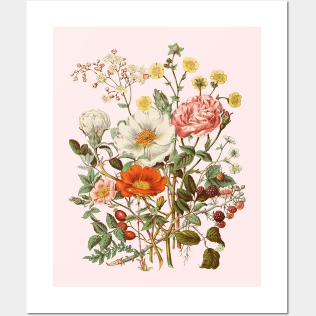 Rose & Wildflowers Vintage Botanical Illustration Wall Art by Biophilia